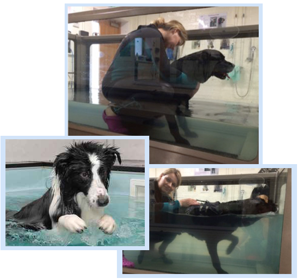 Hydrotherapy Service